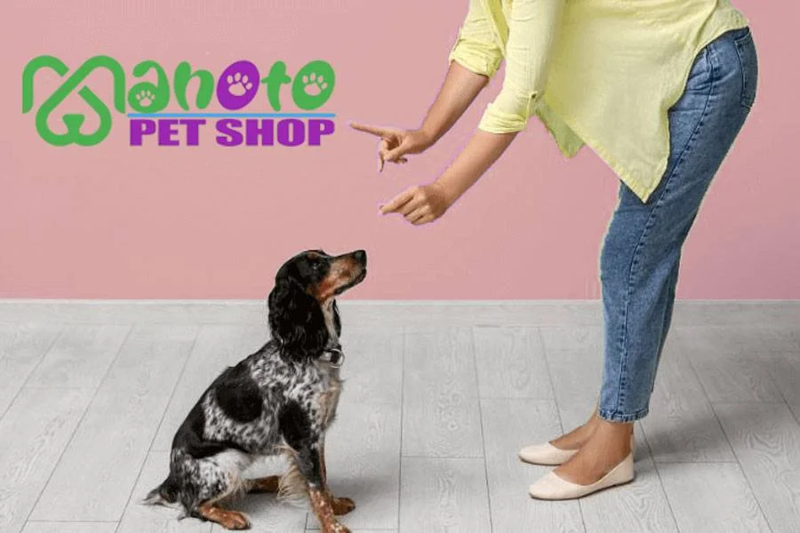 why-manotopet.jpg