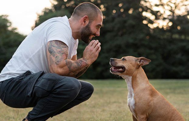 هفت فرمان اصلی برای تربیت سگ